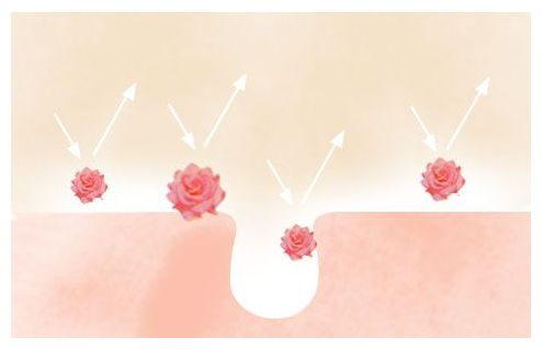セフィーヌ シルクウェットパウダーファンデーションのお花形の粒子のイメージ図